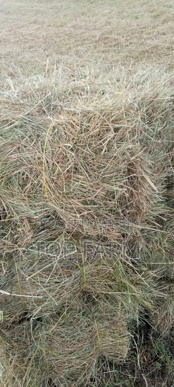 Hay for Sale. 190 Per Bale