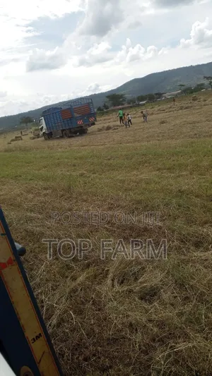 Hay for Sale. 190 Per Bale