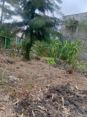 Utawala Near Morden Komarock Hosp8tal 120 by 140 Plot