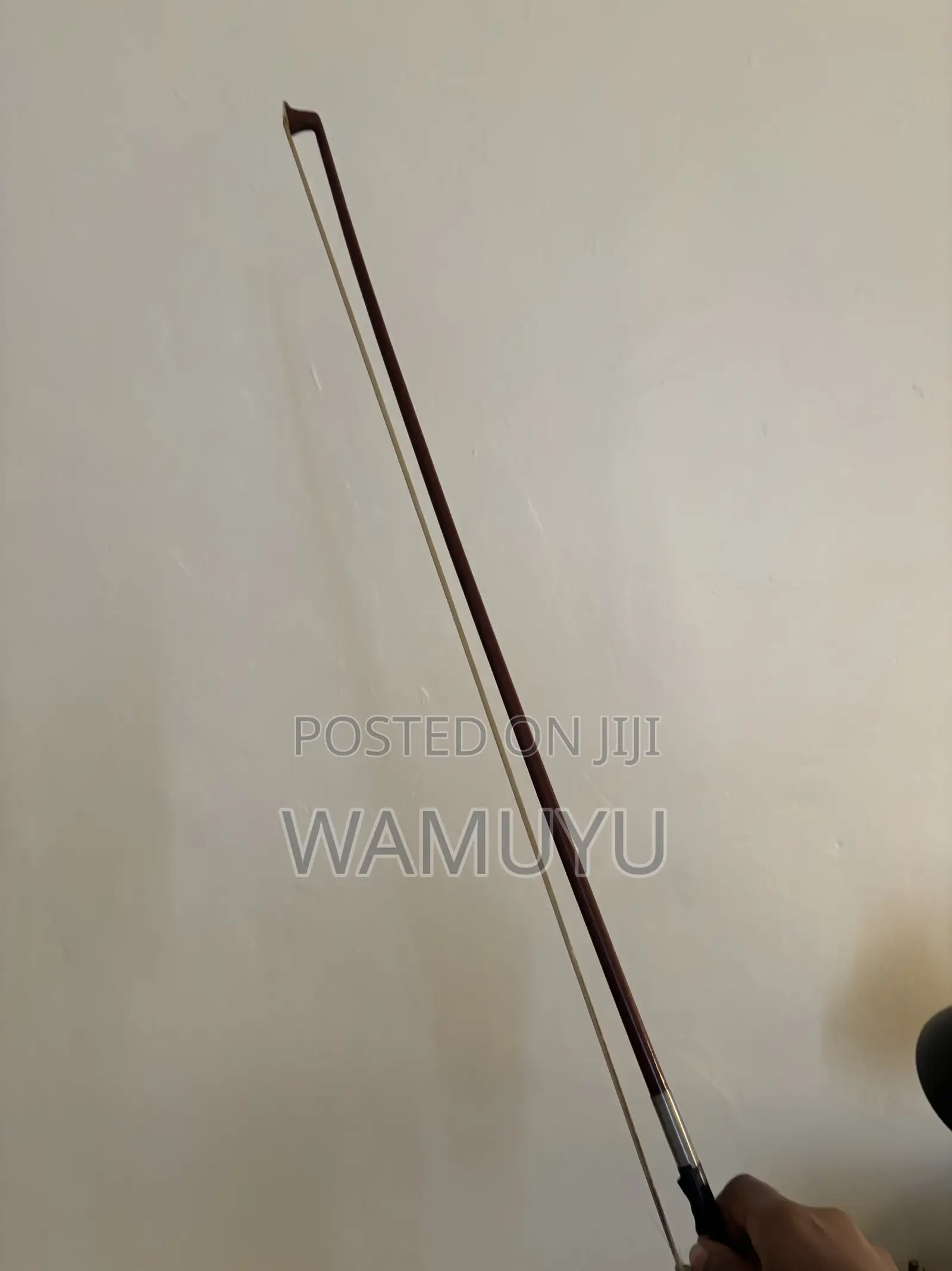 Violin (With Pernambuco Bow) With Extra Strings and Rosin Included