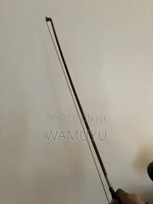 Violin (With Pernambuco Bow) With Extra Strings and Rosin Included