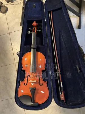 Violin (With Pernambuco Bow) With Extra Strings and Rosin Included