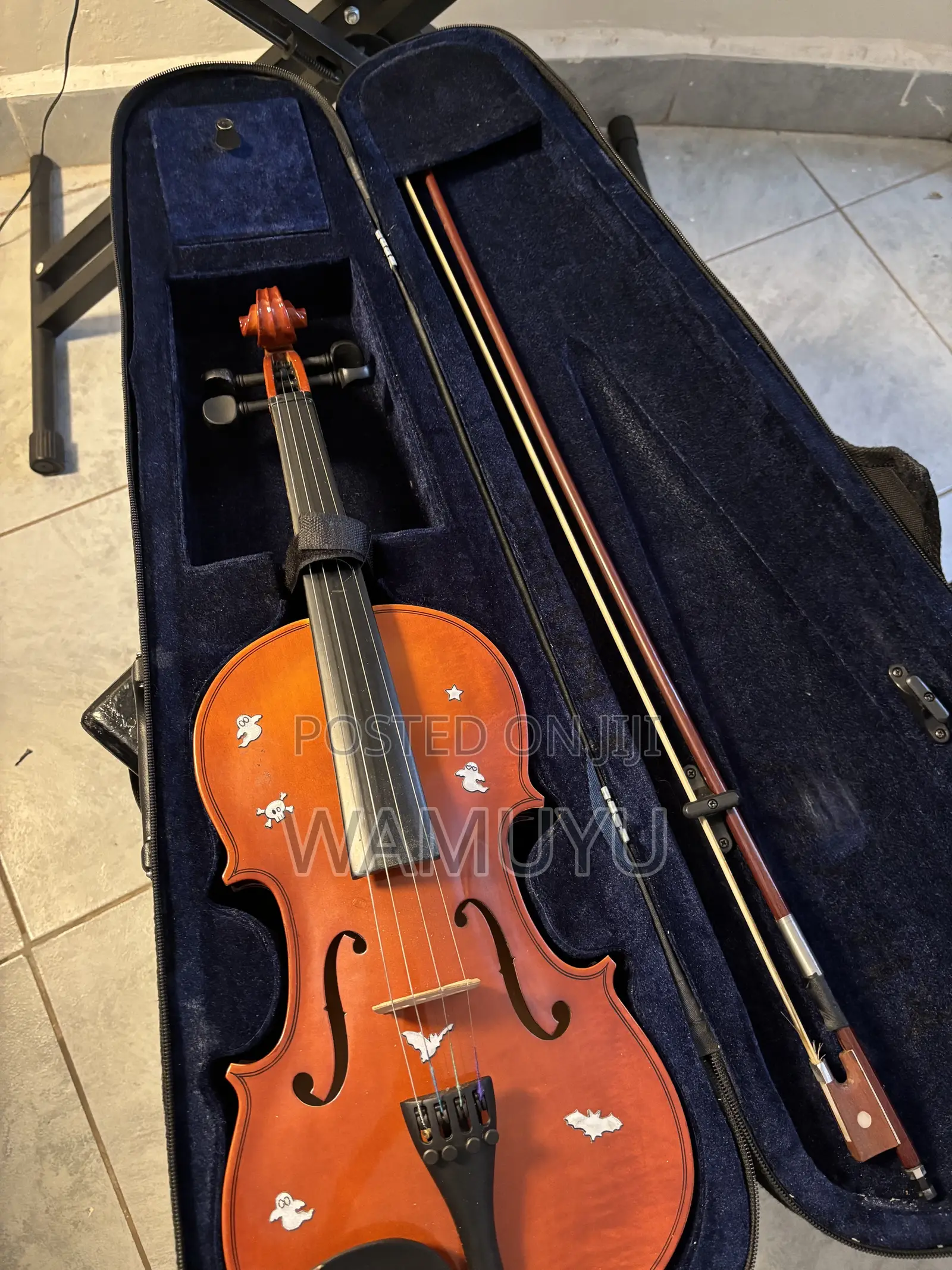 Violin (With Pernambuco Bow) With Extra Strings and Rosin Included