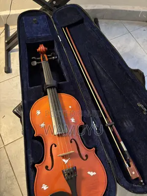 Violin (With Pernambuco Bow) With Extra Strings and Rosin Included