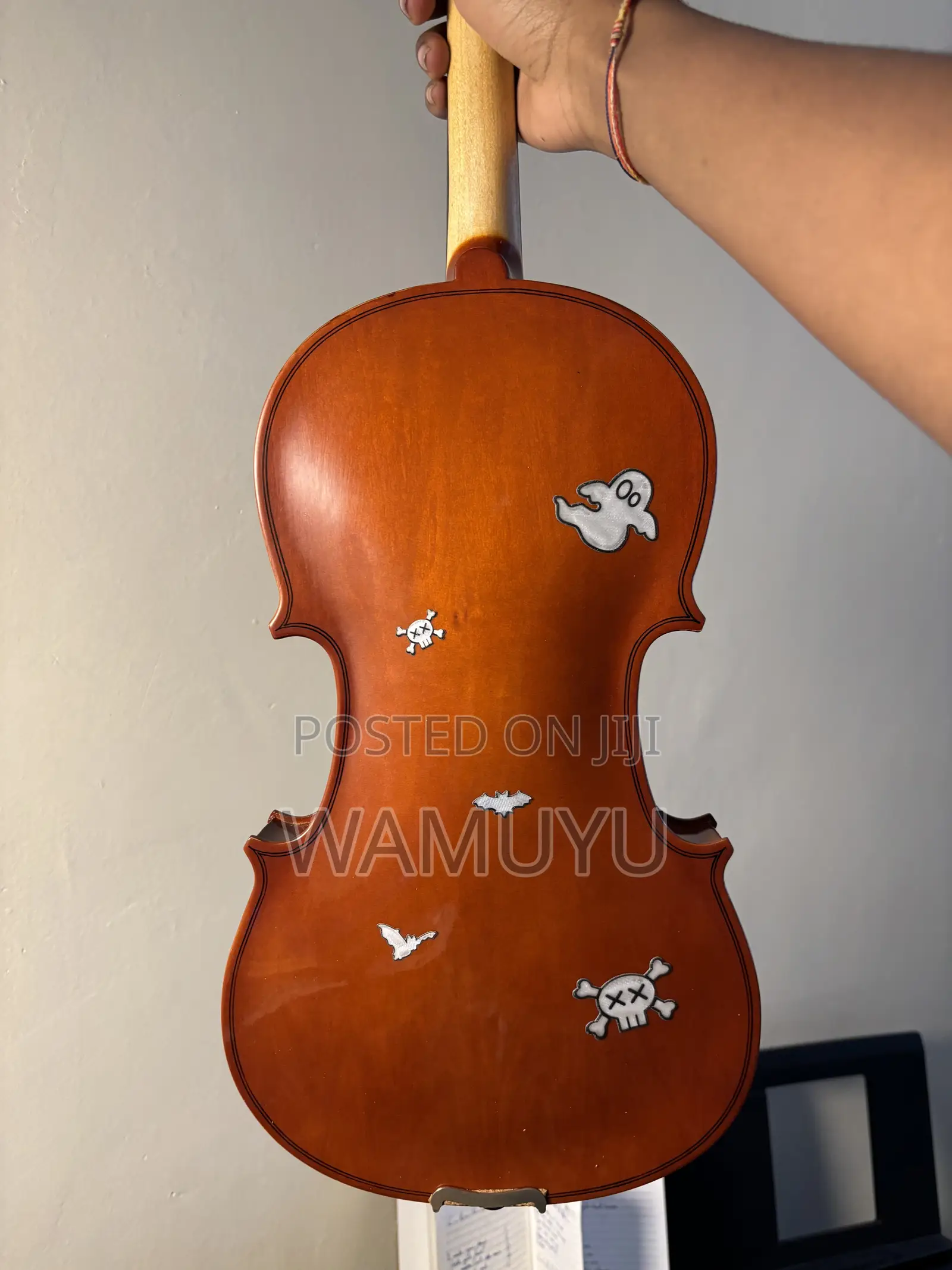 Violin (With Pernambuco Bow) With Extra Strings and Rosin Included