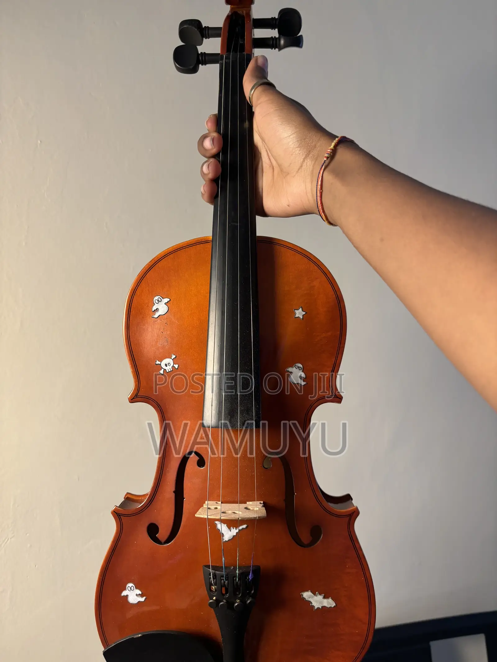 Violin (With Pernambuco Bow) With Extra Strings and Rosin Included