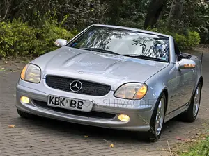 Mercedes-Benz SLK-Class 2003 Silver