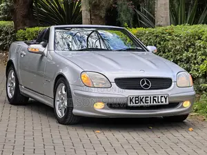 Mercedes-Benz SLK-Class 2003 Silver