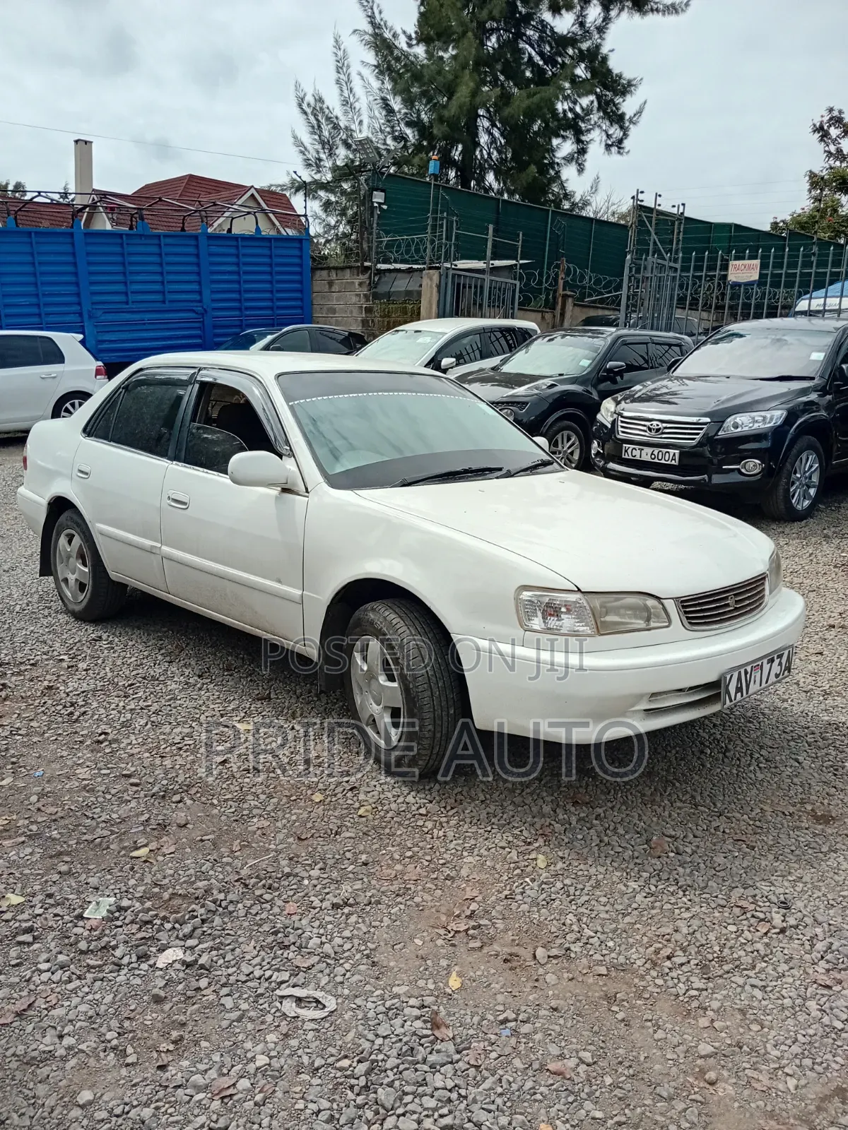 Toyota Corolla 2000 White