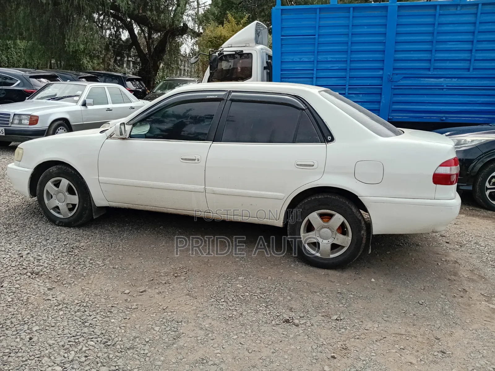 Toyota Corolla 2000 White