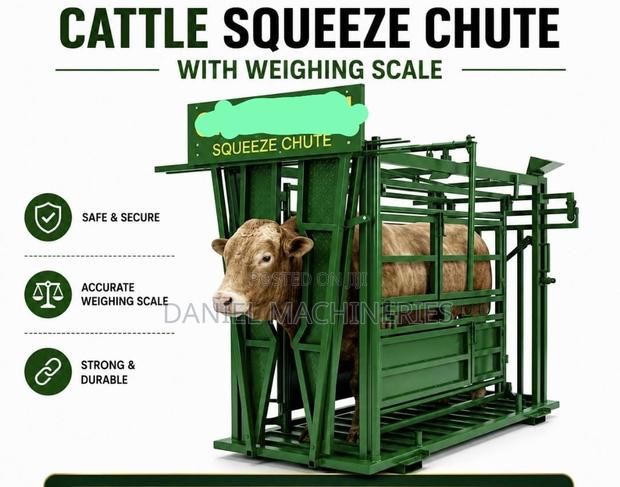 Cattle Squeeze Chute With Weighing Scale - main view