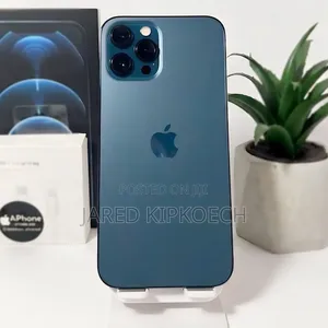 Apple iPhone 12 Pro Max 256 GB Blue