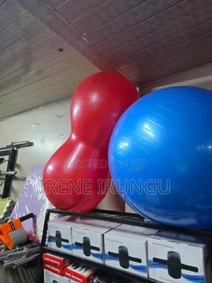 Double Shaped Gym Ball* Back Exercises Ball