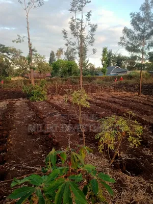 Half an Acre on Sale at Kabati-Kangangu