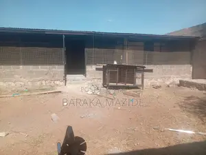 Building Construction