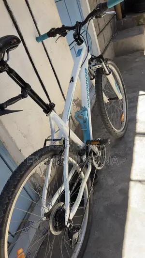 Rock Rider