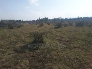 Beautiful One Eighth Plots in Ongata Rongai