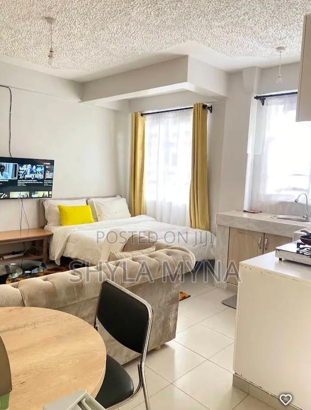 Studio Airbnb Nanyuki - main view