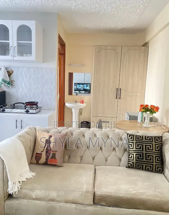 Studio Airbnb Nanyuki