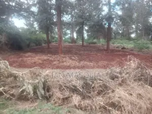 Tatu City Oaklands, Ruiru Land
