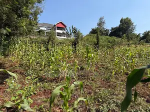 Beautiful Quarter Acre Plots in Ngong