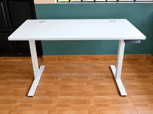 Electric Monitored Adjustable Desk 4fts