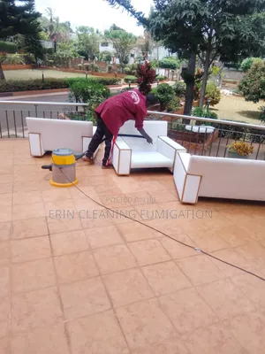 Professional Sofa Detail Cleaning