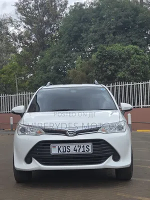 Toyota Corolla Fielder 2019 Burgundy
