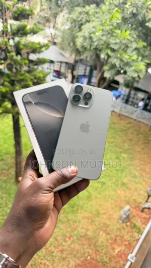 Apple iPhone 16 Pro Max 256 GB Gray