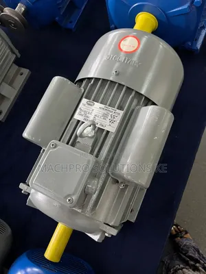 STCL 5HP Italy Single-Phase Electric Motor
