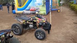 Toprich 2012