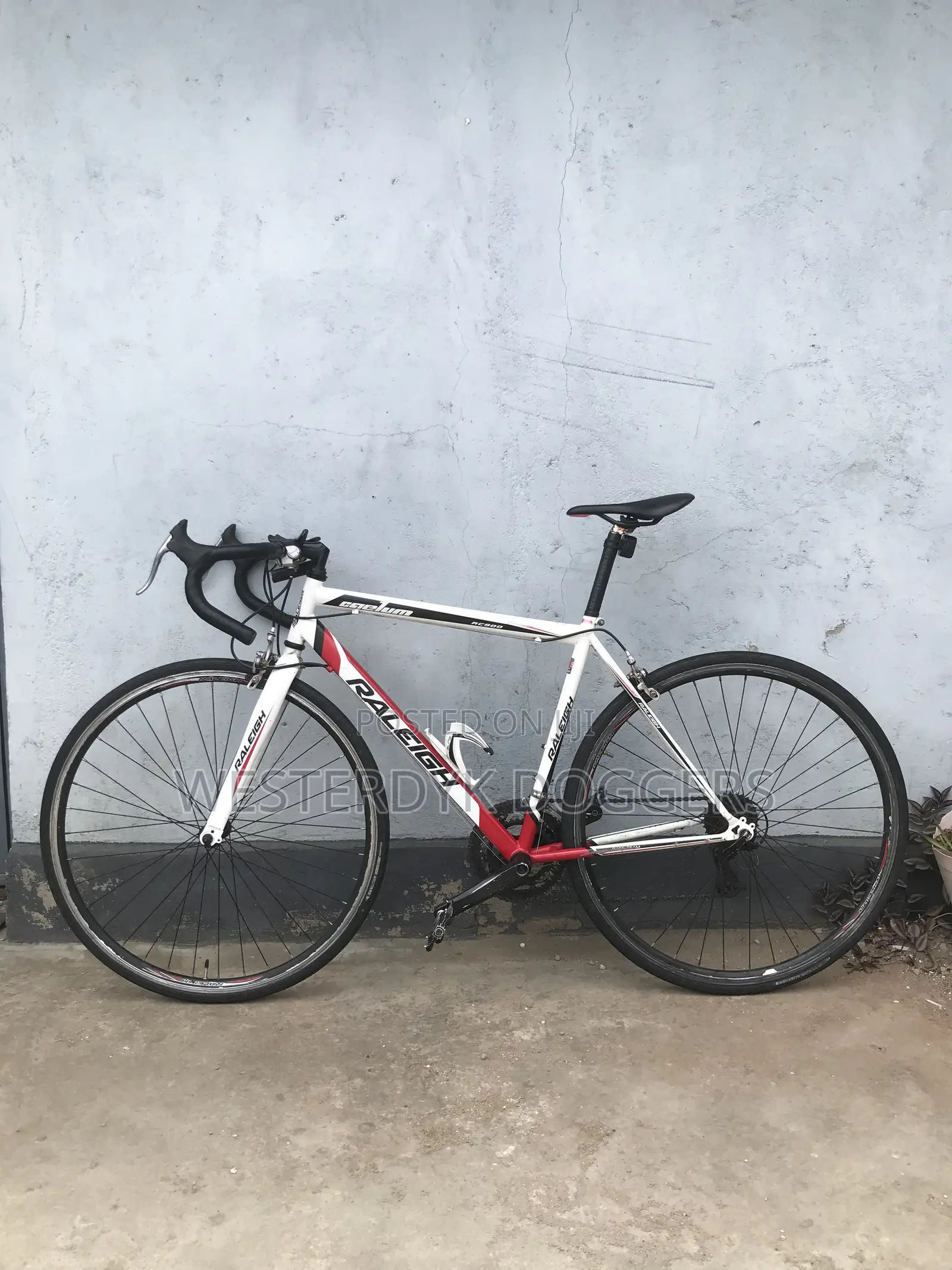 Raleigh Road Bike