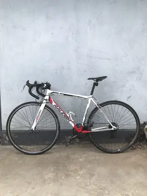 Raleigh Road Bike