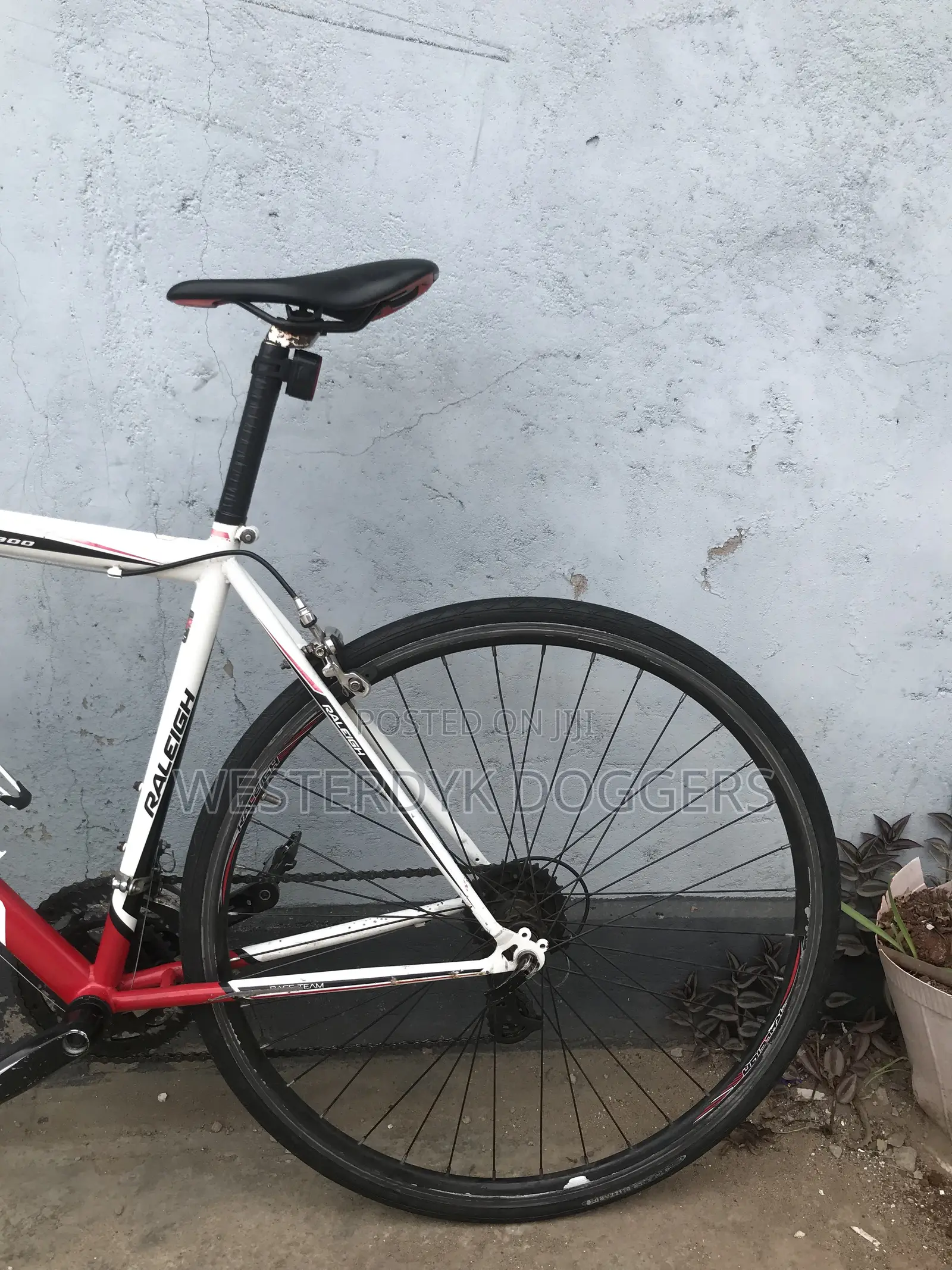 Raleigh Road Bike