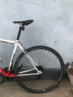 Raleigh Road Bike