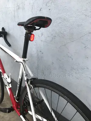 Raleigh Road Bike