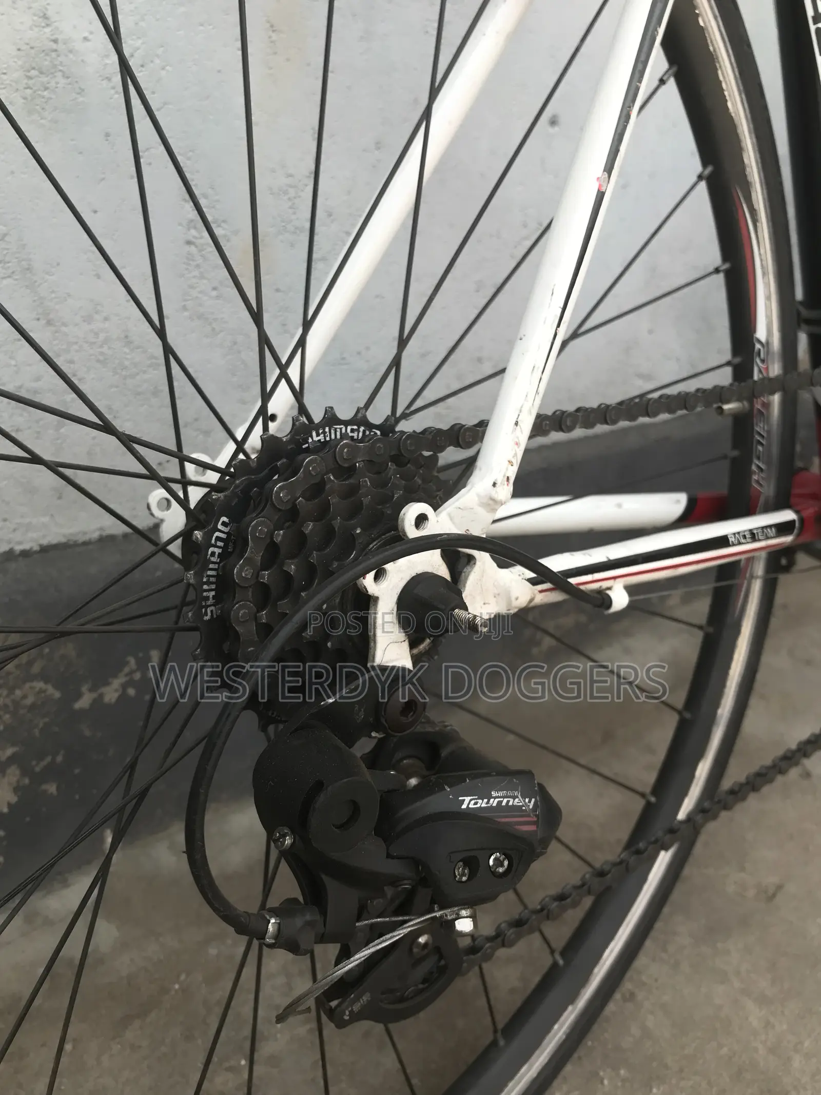 Raleigh Road Bike