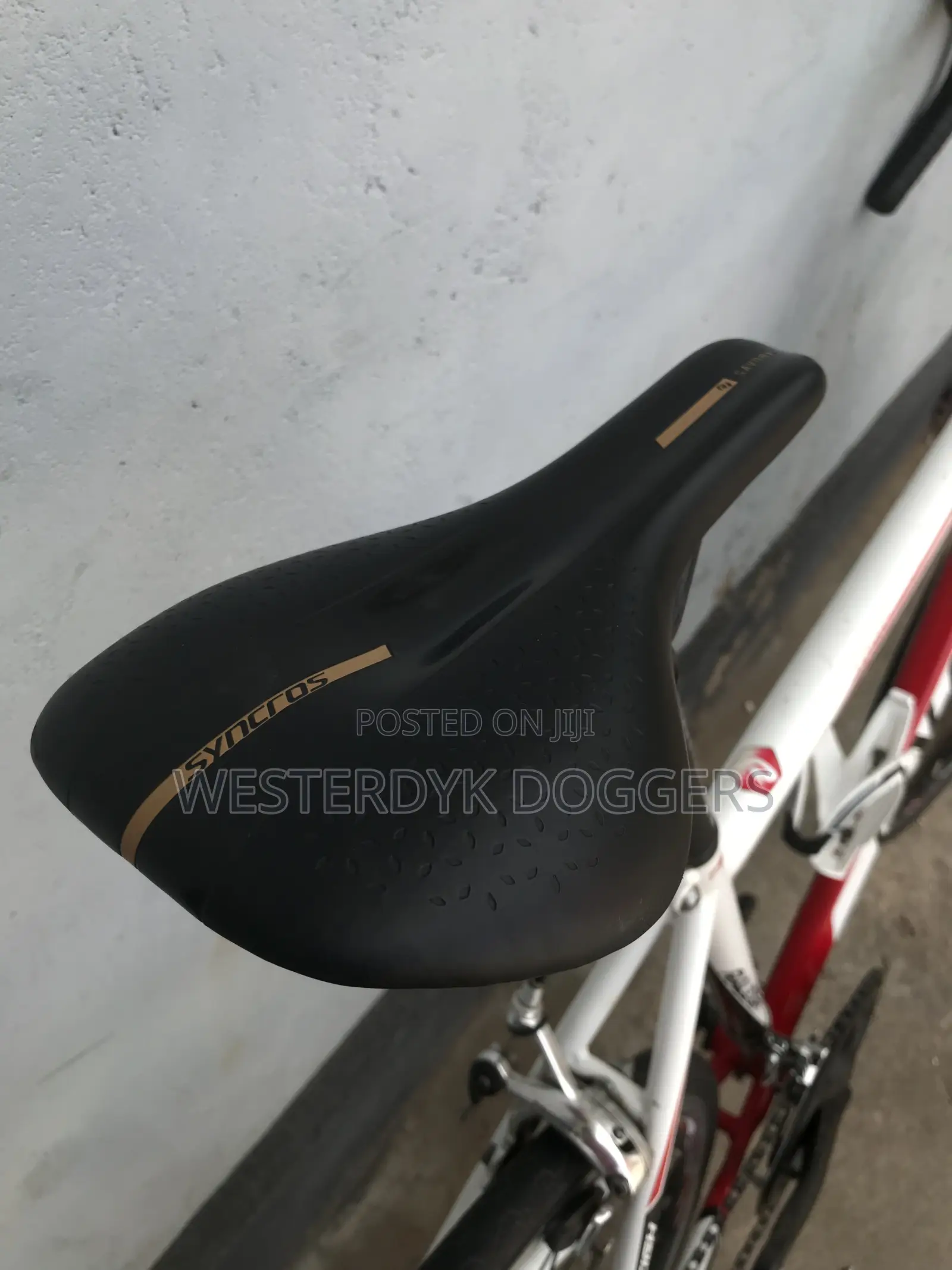 Raleigh Road Bike