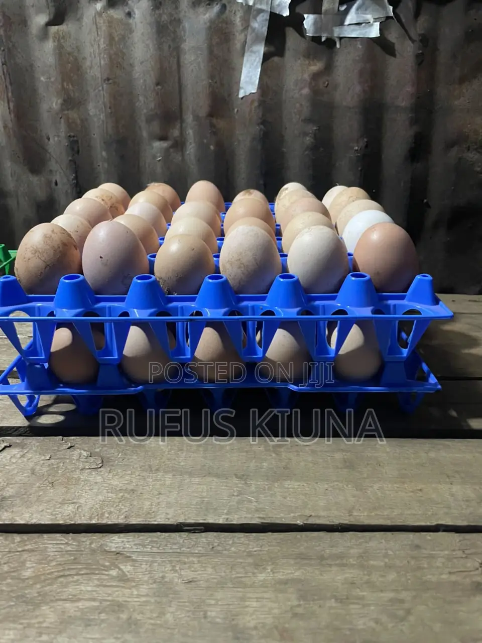 Kiuna Farm