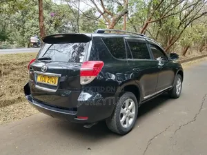 Toyota Vanguard 2012 Silver