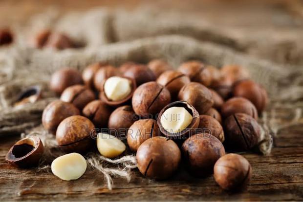 Farm Fresh Macadamia Nuts - thumbnail 3