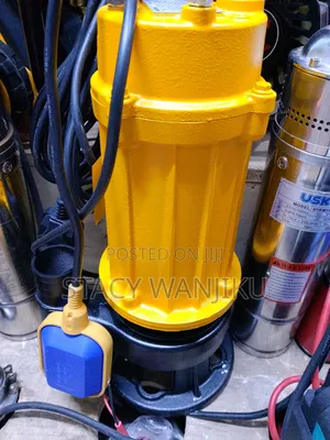 New Arrival 2 Inch Sewage Pump