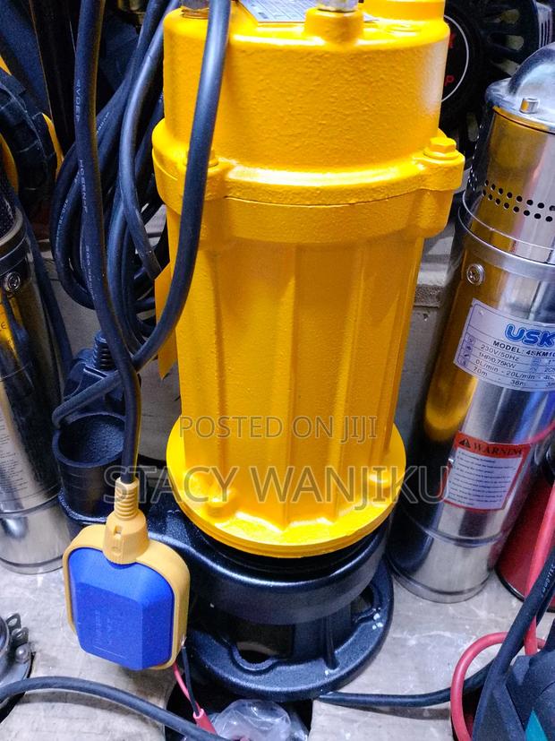New Arrival 2 Inch Sewage Pump