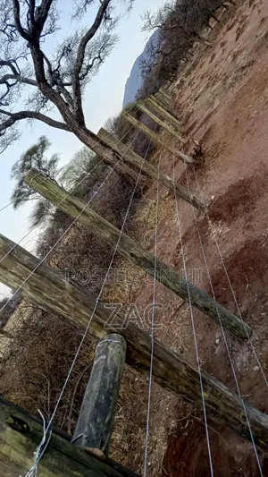 Electric Fencing