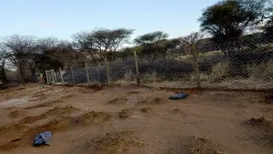 Electric Fencing