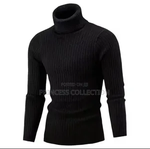 Men Pullneck Sweaters