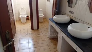 Stained Sinks Cleaning