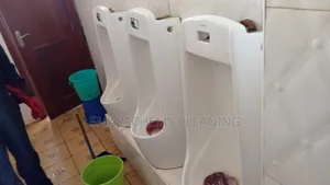 Stained Urinal Bowl Restoration