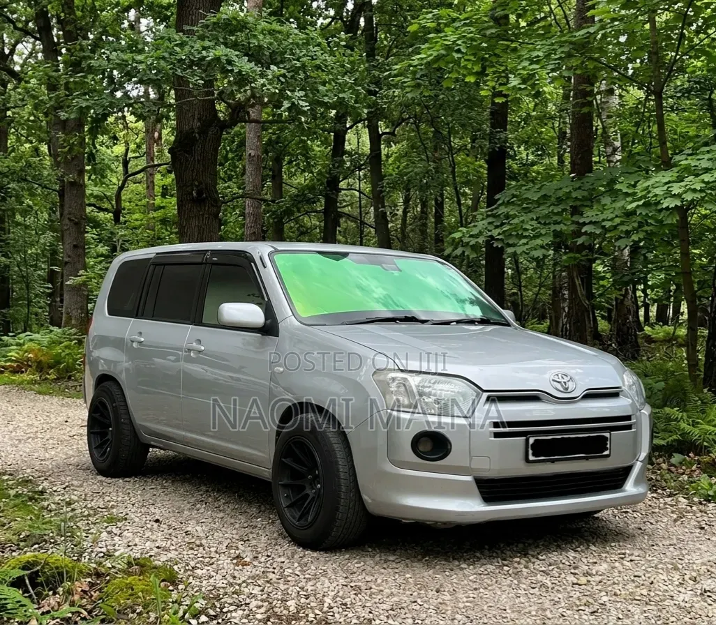 Toyota Succeed 2018 Silver