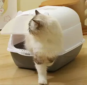 Hooded Cat Litter Box